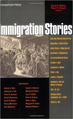 Martin and Schuck's Immigration Law Stories (Stories Series)