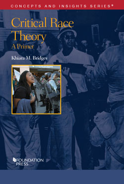Bridges's Critical Race Theory: A Primer (Concepts & Insights Series)