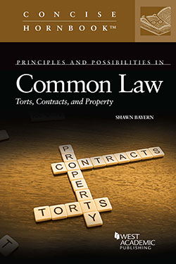 Bayern's Principles and Possibilities in Common Law:  Torts, Contracts, and Property